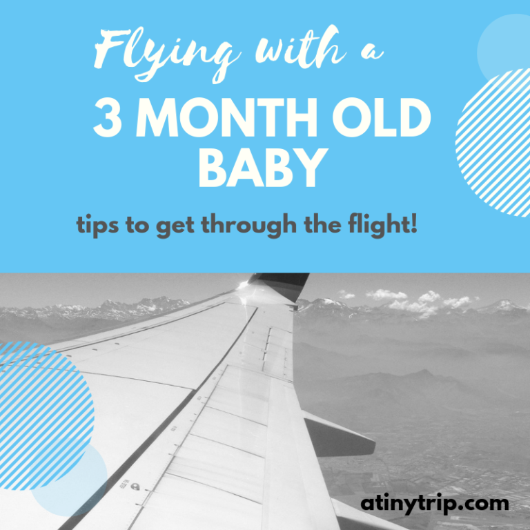 air travel with 3 month old